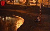 Đàn thiên nga ở hồ Thiền Quang vẫn có nguy cơ bị thương do lưỡi câu